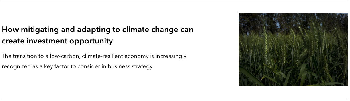 Flipping the switch: how mitigating and adapting to climate change can create investment opportunity